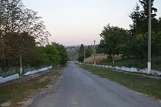 Главная улица