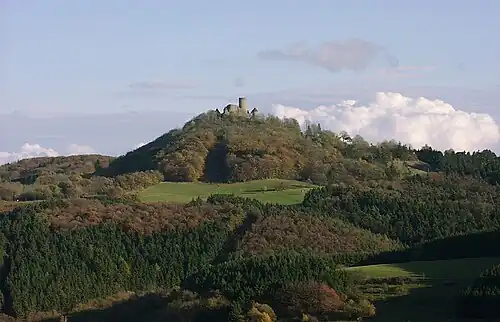 Вид замка на фоне окружающих лесов