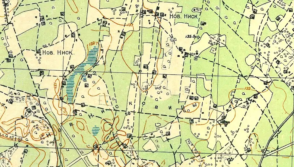 План деревни Новые Низковицы. 1931 год