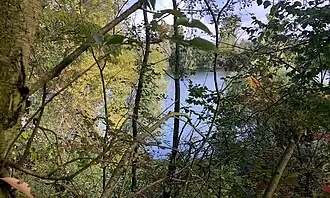 Вид заказника с западной стороны