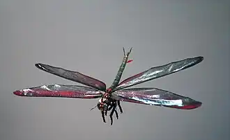 Реконструкция