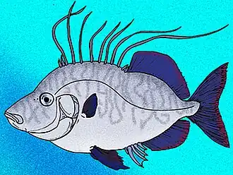 Реконструкция