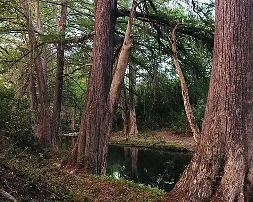 Природа муниципалитета