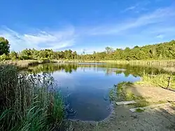 Глаз Нового Лентвариса (лит. Naujojo Lentvario akis)