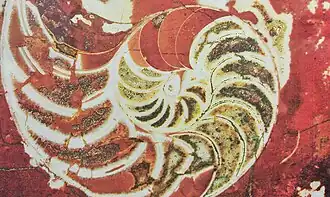 Наутилус в мраморной облицовке станции «Добрынинская»