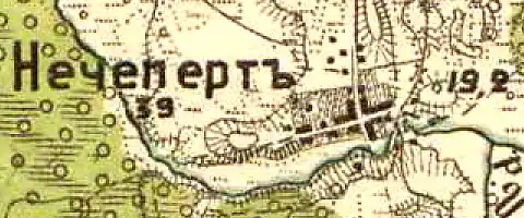 План деревни Нечеперть. 1913 год