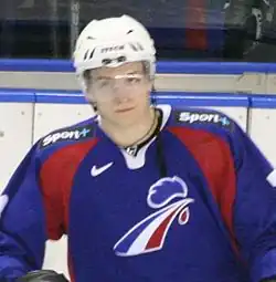 Николя Беш в матче Франция-Польша