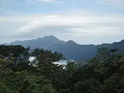 Растительность гор Нимба