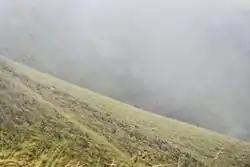 Склоны гор Нимба