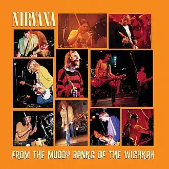 Обложка альбома Nirvana «From the Muddy Banks of the Wishkah» (1996)