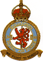 Официальная эмблема 310-й авиаэскадрильи