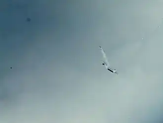 Вскоре входит в штопор.