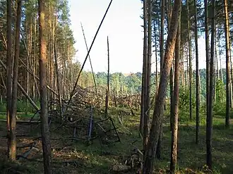 Разрушенная вторая башня в 2005 году