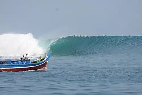 Национальный парк Уджунг Кулон, Индонезия