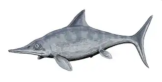 Типовой род семейства Ophthalmosaurus