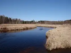 Река Орайыги в деревне Химмасте в апреле