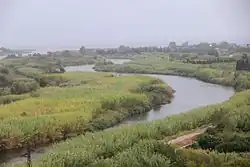 Низовье Чедрино около города Орозеи