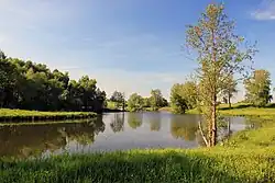 Осёнка в Коломенском районе