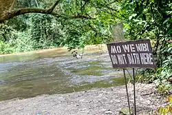 Ошун в священном лесу Осун-Осогбо