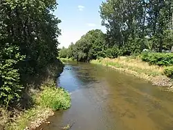 Низовье реки Мала-Панев около Озимека