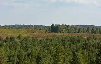 Заповедник Пыхья-Кырвемаа