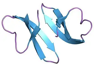 Структура дефензина HNP-3 (ген DEFA1)