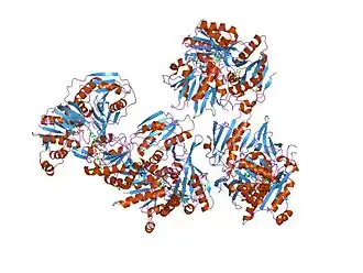 Электронпереносящий флавопротеин из Мethylophilus methylotrophus.