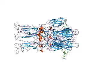 Кристаллическая структура гомотримера слитого гликопротеина Е1 из вируса леса Семилки