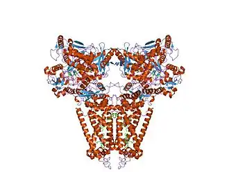 Структура димера хинол-фумаратредуктазы