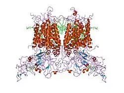 Цит. b6f из M. laminosus (2d2c).