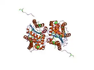 Вероятная глутаминаза из Bacillus subtilis в комплексе с 6-диазо-5-оксо-ʟ-норлейцином.