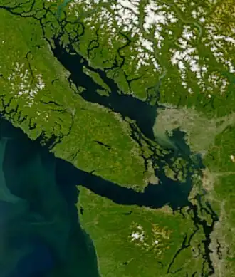 Спутниковый снимок моря Селиш. В центре пролив Джорджия, внизу пролив Хуан-де-Фука, залив Пьюджет в нижнем правом углу, вверху слева пролив Джонстона, Тихий океан внизу слева. Хорошо заметны наносы реки Фрейзер