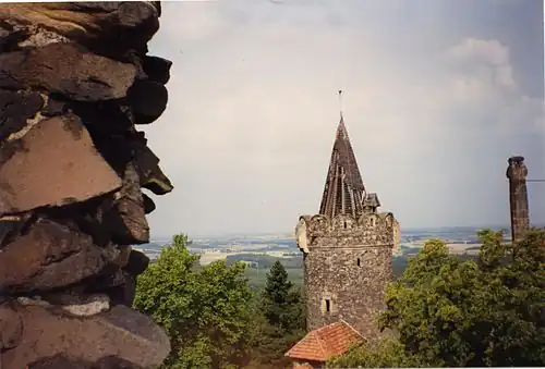 Вид с обзорной башни