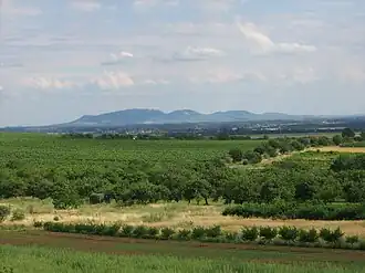 Вид на Палаву с северо-запада