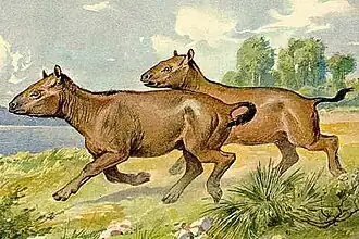 Палеотерий (Palaeotherium)