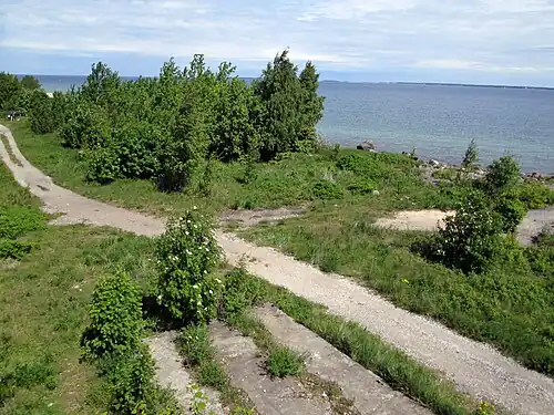 Улица на территории заповедника Пальяссааре. Вид с Белой башни
