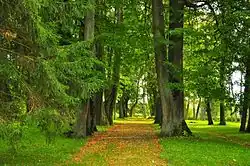 Парк мызы Паллопер (Палупера)