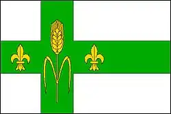 Флаг Паметице