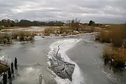 Среднее течение реки Даугивяне около деревни Рагиненай в марте 2012 года