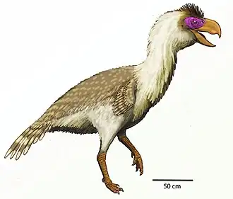 Реконструкция