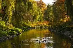 Чарна-Пшемша в Сосновце