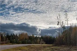 Автобусная остановка «Parmupalu» на шоссе Выру—Мынисте—Валга