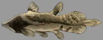 Реконструкция