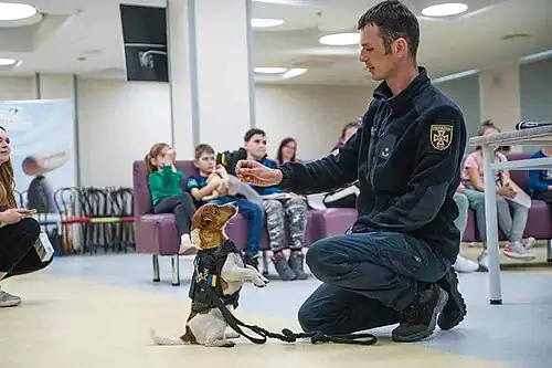 Патрон в Охматдете 28 апреля 2022