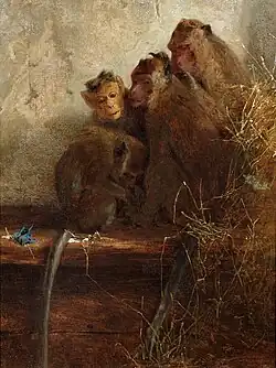 Семья обезьян