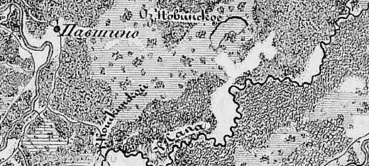 Деревня Павшино на семитопографической карте Новгородской губернии 1847 года
