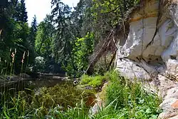 Обнажение песчаника на правом берегу нижнего течения в Эстонии летом 2013 года