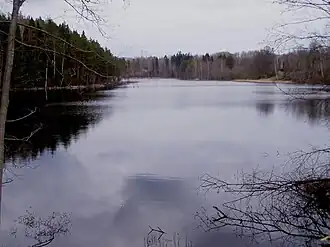 Вид на озеро Пекша весной 2005 года