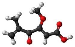 Изображение молекулярной модели