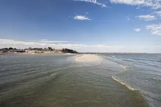 Панорама Петрушиной косы. Август 2016г.